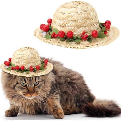 New Arrival 2020 Multicolor Pet Flower Berry Straw Hat Dog Cat Mexican Straw Sombrero Hat Pet Buckle Costume Dropshipping