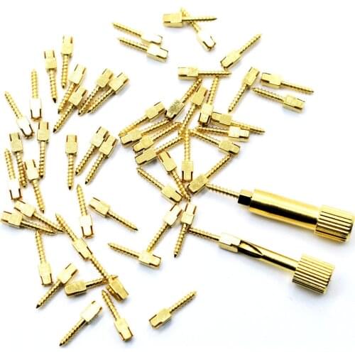 Dental Golden Plated Screw Post 50Pcs Bag Metal Materials For Dentist Tool Dentistry Use To Show