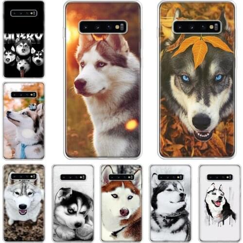 Animal cute snow husky dog Phone Case For Samsung Galaxy Note 10 9 8 Plus J4 J6 J8 Plus S7 S8 S9 S10 S10E S20 Ultra Plus Lite Co
