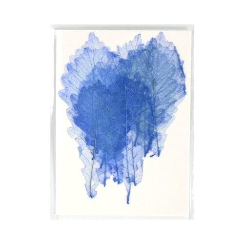 12pcs,Natural Pressed leaf vein,Eternal Dried Flowers DIY Flora Wedding invitation Stickers Craft Bookmark Gift card decoration