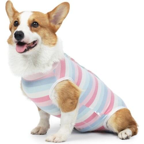 Pet Clothes Dogs Maintain Clothes Operation Recovery Suit Anti Licking Wounds After Surgery Surgery Suit Four-legged Jumpsuit