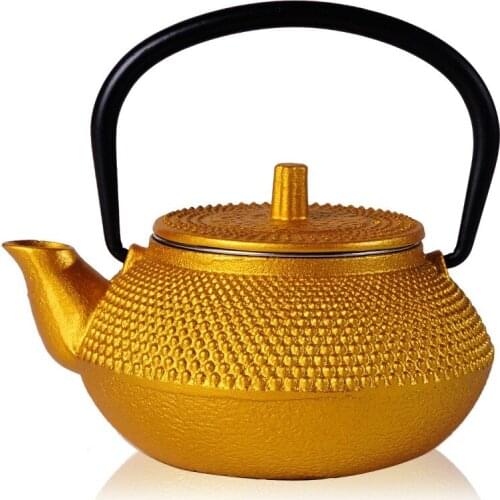 2019 Hot Sale Cast Iron Teapot Japanese Tetsubin Kettle Tea Pot Drinkware Tool 300ml Kung Fu Infusers Stainless Steel Net Filter