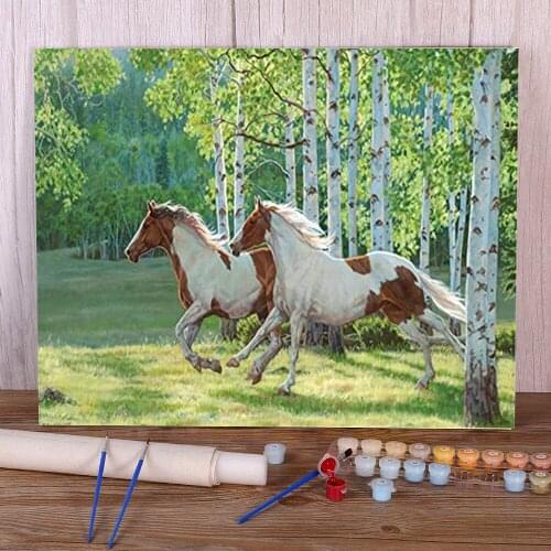 Animal Horse Flower Painting By Numbers Kit Acrylic Paints 50*70 Oil Painting Handmade For Adults For Wholesale
