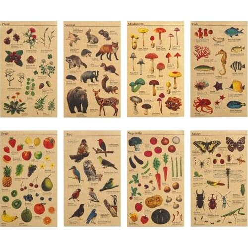 1 Pcs Lifelike Kraft Stickers Animal Plant Fruit Fish Vegetable Insect Mushroom for kids' Learning Sticker DIY Decoration H6132