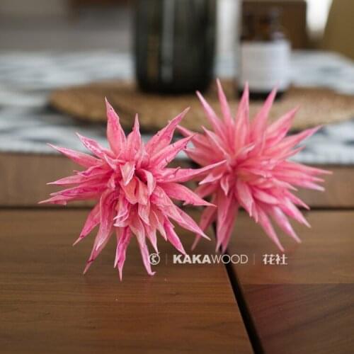 Kakawood Flower Club Natural Dried Flowers Dried Flowers Northern European-Style Home Soft Plant Flower
