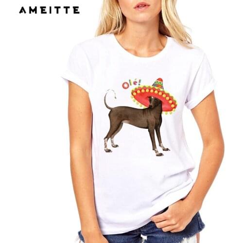 AMEITTE Summer Tops favorite fiesta-loving dog T Shirts Women Cute Dog Print Fashion All-match Female White Tee Shirt