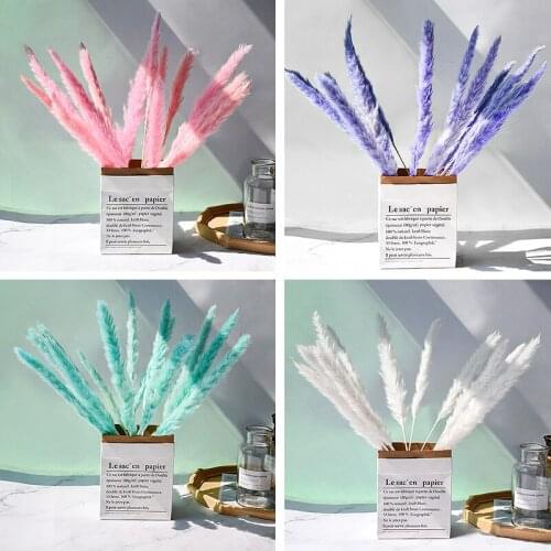 Natural Pampas Grass Rabbit Tail Phragmites DIY Wheat Preserved Fresh Flowers Plants Dried For Decor Home Wedding Decoration