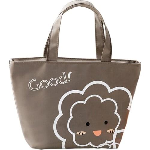 M17D Portable Lunch Box Bag Thermal Insulated Cooler Waterproof Bento Case Storage Tote Handbag