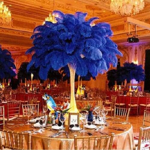 Ostrich Feathers Wholesale! Royal Blue 6-26 Inch 10PCS / Piece DIY Wedding Party Clothing Design