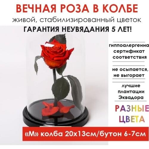 Rose Eternal (Вечная Роза) Home And Garden Products