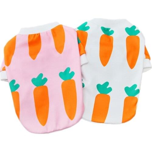 2022 Dog Hoodie Spring Autumn Winter Dog Clothes Coat Shirt Puppy Outfit Costumes Pomeranian Yorkshire Poodle Bichon Clothing XL