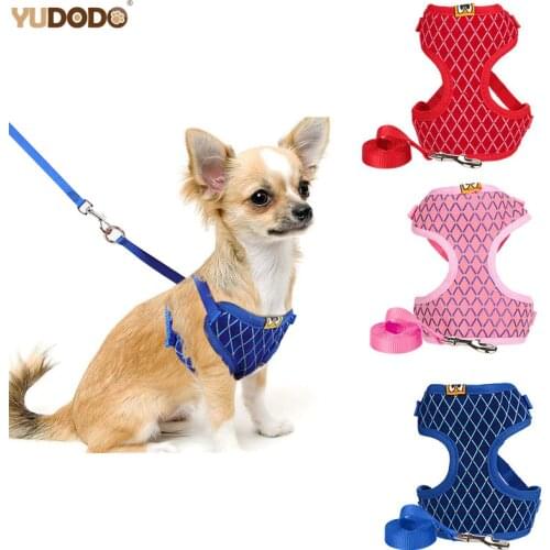 Rhinestone Mesh Dog Harness Leash Set For Small Dog Cat Pet Harness Adjustable Breathable Chihuahua Teddy Walking Dog Vest