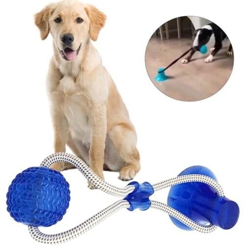 Dog Interactive Molar Chew Toy Pet Supplies Self-playing Rubber Ball With Suction Cup Teeth Cleaning Tools Dog Teeth Cleaning