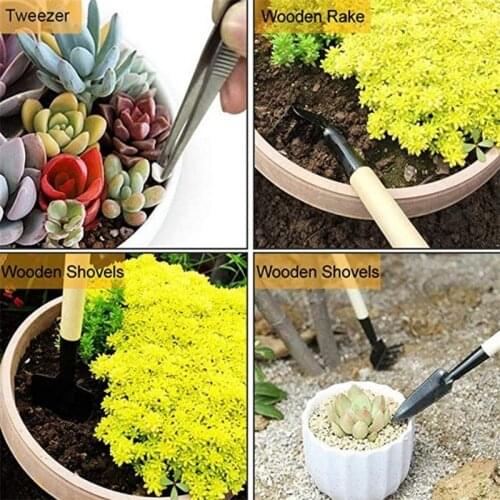 14 Pieces Mini Bonsai Tools Gardening Tool Kit Planting Cactus Succulents Plants