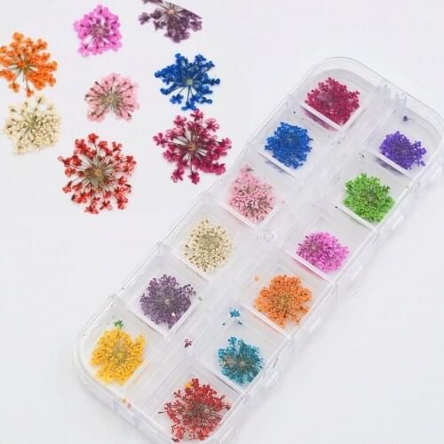 12 Colors Real Natural Petal Dry Dried Flower UV Gel Nail Art Polish Tips Jewelry Decoration DIY Manicure Tools Set
