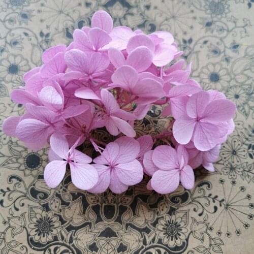 5g/lot,Grade A Eternal Preserved Atlantist Hydrangea Flowers,Real rose flowers for wedding decoration,bride to be Headwear favor