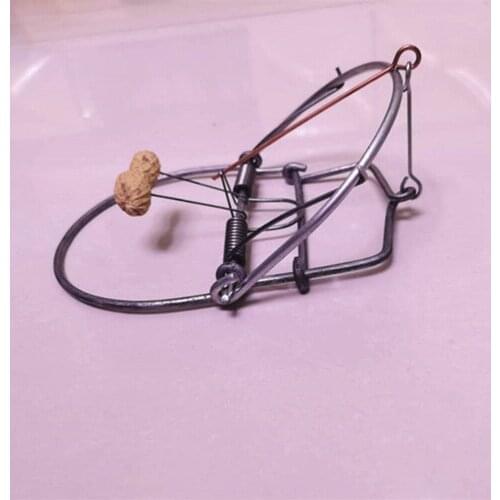 Metal Mouse Trap Professional Rat Trap with Spring Snap Rodent Squirrel Control Mouse Catcher Pest Control Tools