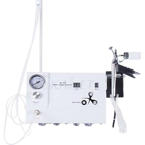 Professional Oxygen Sprayer Injection Machine for Skin Moisturizing Oxygen Infusion Facial Skin Cleaning Oxygen Skin Care Device