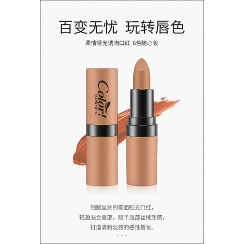Fine silky matte lipstick lasting color moisturizing lipstick waterproof not easy to decolorize lipstick