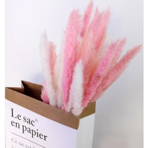 Yongsheng Flower Small Reed Ins Romantic Style Pu Wei Dried Flower Bouquet Cafe Home Furnishings Shooting Props