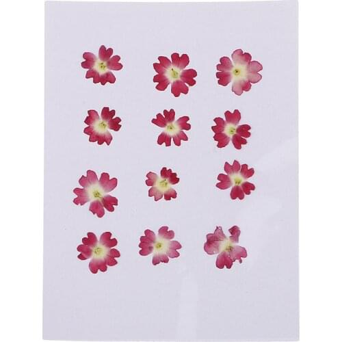 12pcs Natural Dried Flowers Verbena For DIY Pendants Handmade Resin Ornament