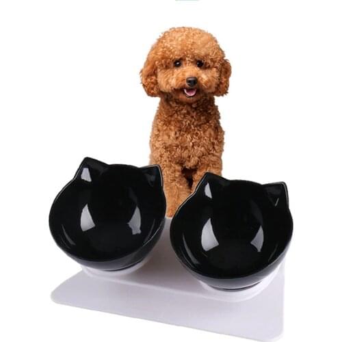 15 Degrees Double Cat Bowl Non-slip Dog Feeder Large Capacity Pet Drinking Bowls Transparent Food Bowl Non-slip Pet Feeder Stuff