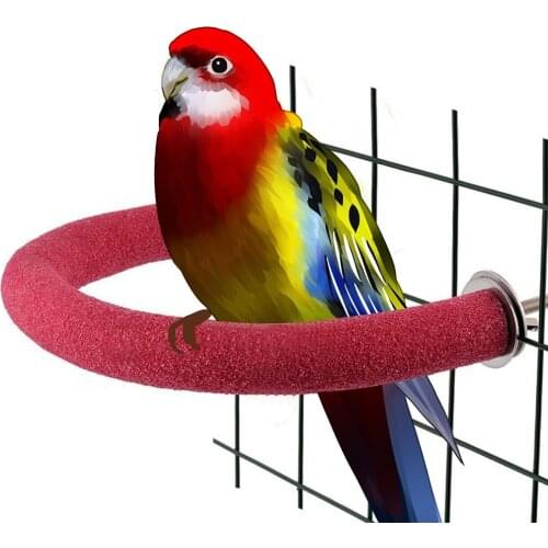 Pet Bird Cage Perches Stand Platform Paw Grinding Bites Toy For Parrot Parakeet Pet Birds Accessories Parrot Toys