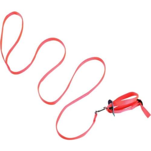 Portable New Parrot Bird Hamster Turtle Lizard Traction Rope Reins 8-shaped Pet Strap Leash L5YE