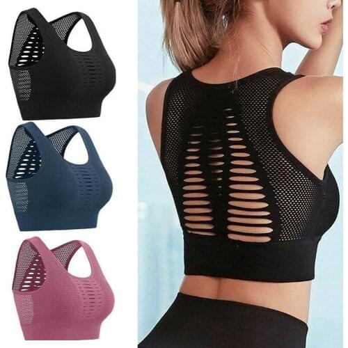Harolteo fish Sports Bras