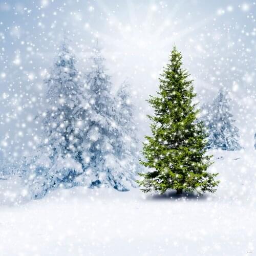 VinylBDS Christmas Backdrop Photography Winter Snow Photo Backdrop Painted Background Cedar Photographic Background For Children