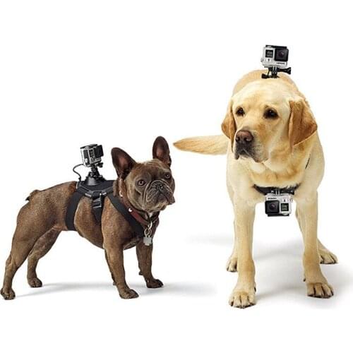 Life Magic Box Sports & Action Cameras