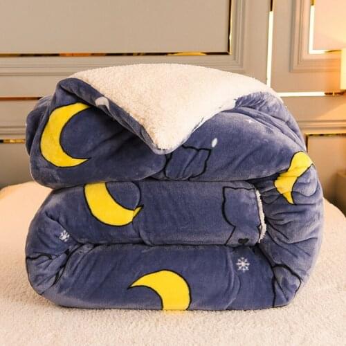 Feather Velvet Quilt Cashmere Quilt Core Thickening Winter Quilt Student Bedding Adult Cotton Quilting Keep Warm Technology