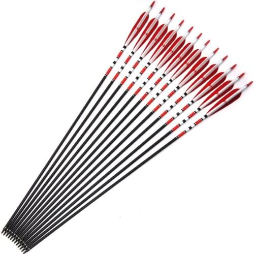 80cm Spine 500 Carbon Arrows OD7.6mm ID6.2mm with 2 Red and 1 White Turkey Feather for Hunting Shooting Archery