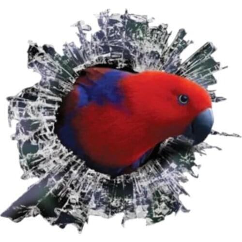 S50138# 13CM/15CM/17CM Personality PVC Decal Funny 3D Bird Waterproof Car Sticker on Motorcycle Laptop Decorative