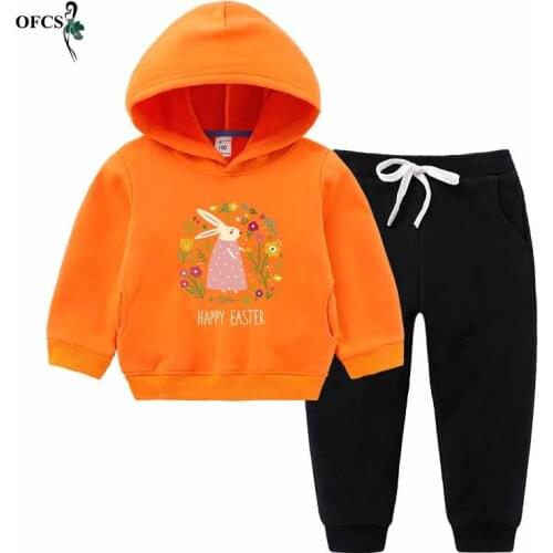 Children Clothing Set Babys Sets 100% Cotton Kids Hoodies Boy Outfit Sports Suit 2-12T Boys Girls Fleece+ Trousers 2PCS/Suits