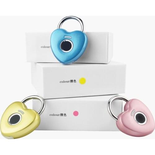 Smart Door Lock Biometric Fingerprint Padlock Mini Biometric Keyless USB Rechargeable Chip Anti heft Luggage Bag Box