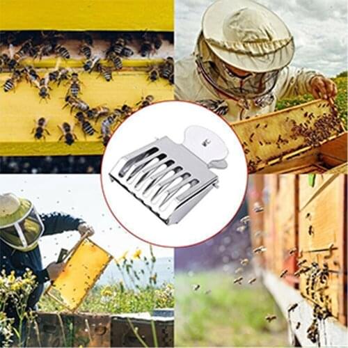 1pc Stainless Steel Bee Queen Catcher Colorless Clear Plastic Clip Cage Beekeeping Equipment Tool Beekeeper Equip Isolation Room