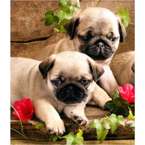 5D Diy Diamond Painting Animal Dogs Round Diamond Mosaic Cross Stitch Kit Animal Diamond Full Diamond Embroidery Home Decor