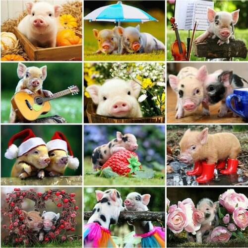 MomoArt Full Square Diamond Painting Pig Craft Kit Rhinestone Art Diamond Embroidery Animal Rhinestone Picture Home Decor Gift