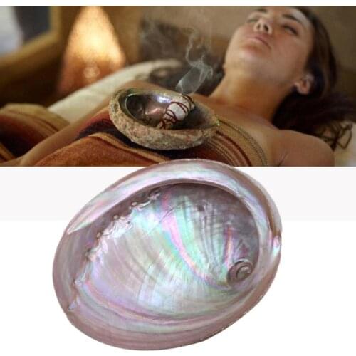 New Abalone Shell Large Seashell Nautical Decor Sage Bonsai Home Storage Soap Box Shell Fish Tank Aquarium Landscape