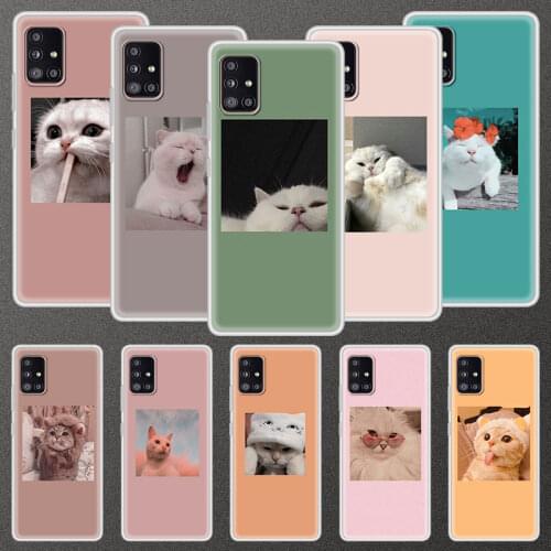 Soft Case For Samsung Galaxy A51 A71 A21S A31 A41 M31 A11 M51 M21 M11 Translucent Phone Cover Shell Cute Lovely Animal Cat Capa