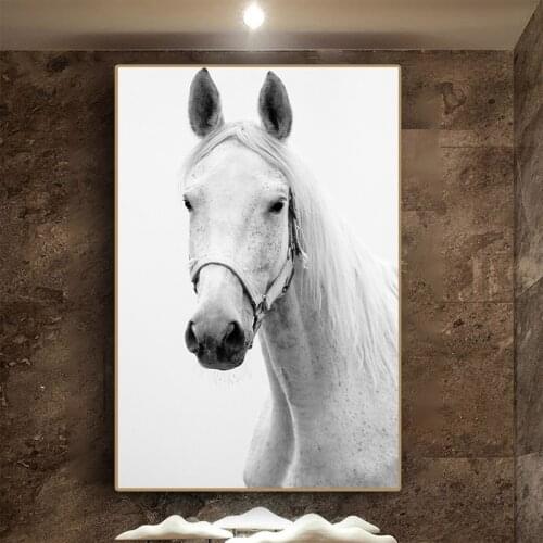 Modern Art White Horse Animal Poster and Prints Canvas Painting Decorative Pictures Cuadros Home Decor for Living Room No Frame