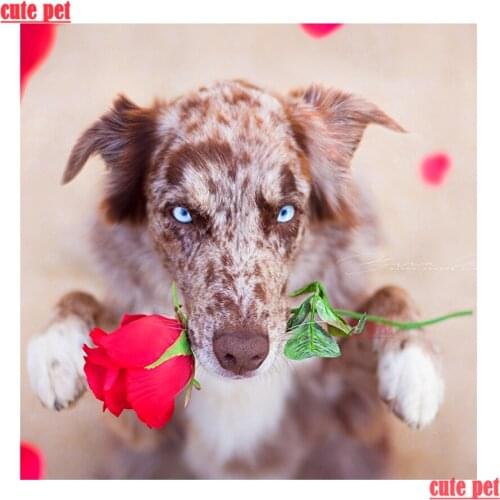 Наборы для вышивания бисером Ternura China At AliExpress