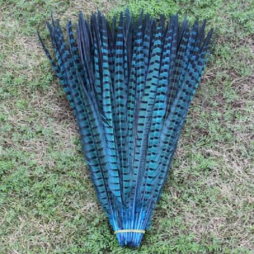 High quality natural Lake blue chicken tail feathers 50 PCS 20-22 inches / 50 to 55 cm