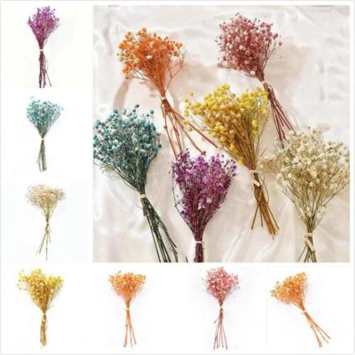 25pcs Real Happy Flower Small Natural Dried Flowers Bouquet Dry Flowers Press Mini Decorative Photography Photo Backdrop Decor