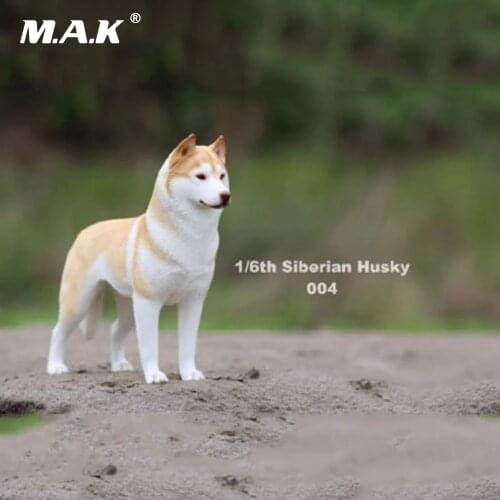 In stock 1/6 Scale Action Figure Accessory Siberian Husky Simulation Animals 004 Pet Dog Model Toys for 12'' Action Figure