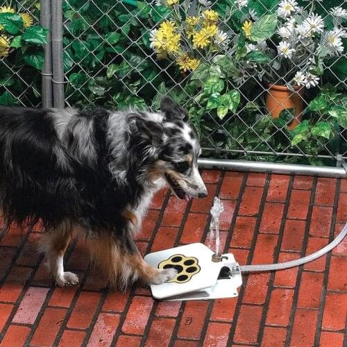 Outdoor Automatic Dog Water Fountain Step On Toy Dog Drinking Joy with Pets Security without Electricity for Dogs Drinking