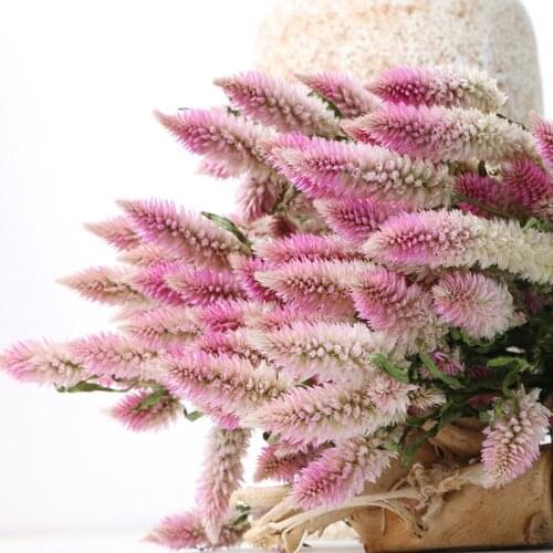 Happy Flower Natural Dried Flower Bouquet Modern Home Office Decor of Creative Floral Composition living room Ornament Shooting