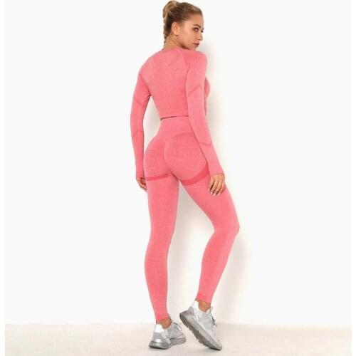 2 Piece Set Women Seamless Fitness Clothing Yoga Suit Female Outdoor Fitness High Waist Hip Nylon Long-sleeved Yoga Suit