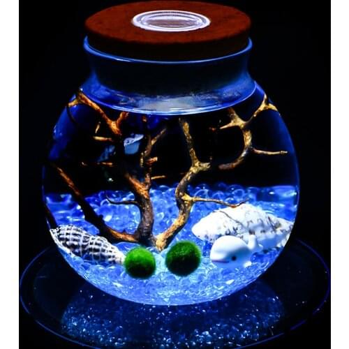 11cm New Micro Landscape Ecological Bottle Terrarium Round Glass Jar with LED Light Cork Landscape Ecological Bottle Night Light